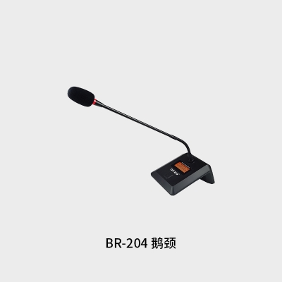 BR204